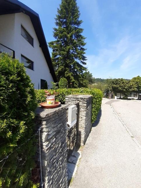 Penthouse N74 Linz 120 Qm Kids Welcome! Esterno foto
