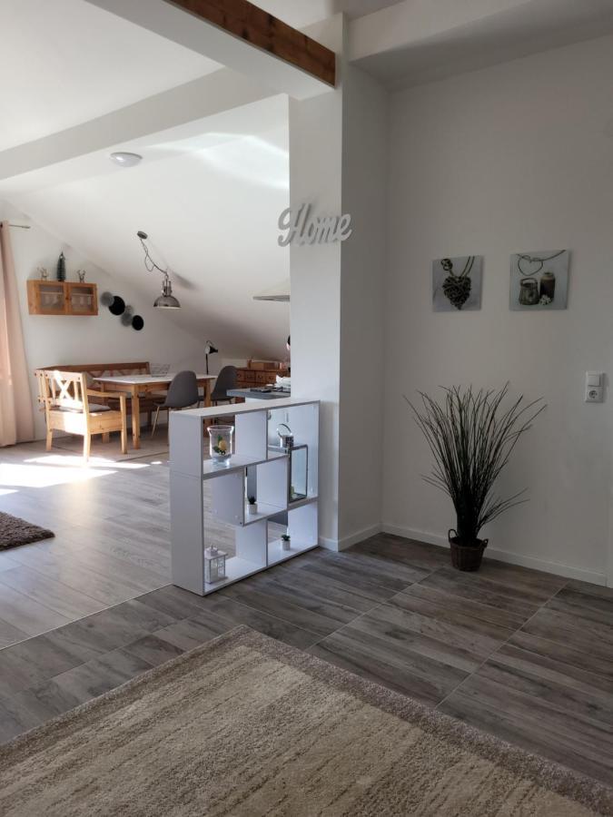 Penthouse N74 Linz 120 Qm Kids Welcome! Esterno foto