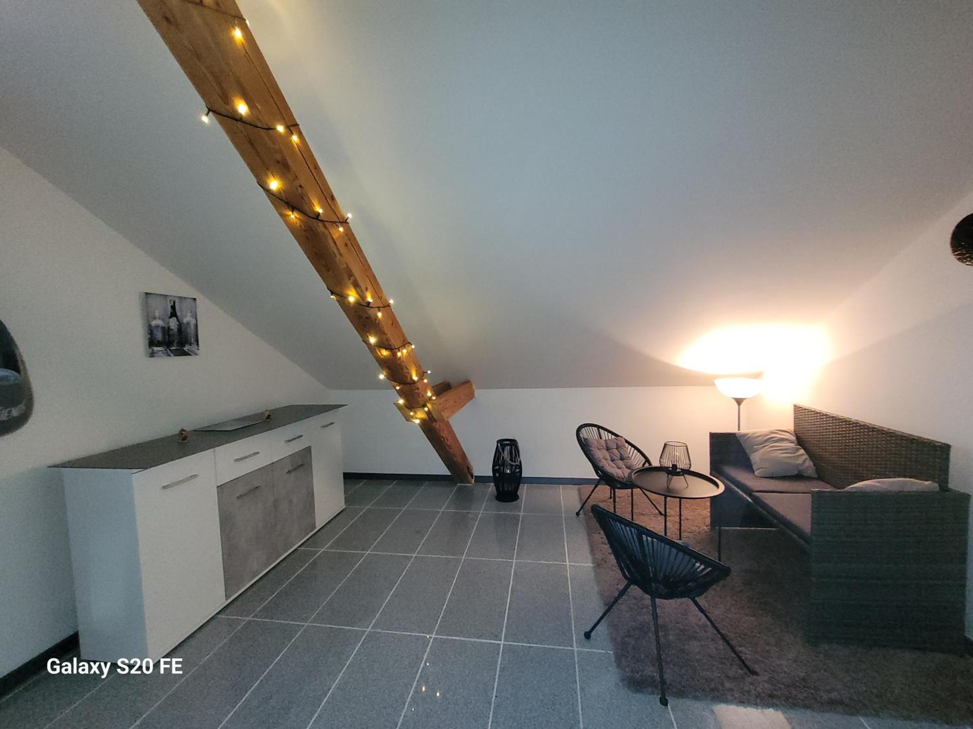 Penthouse N74 Linz 120 Qm Kids Welcome! Esterno foto